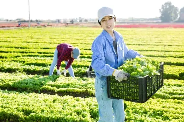 Job Description: Harvest Worker