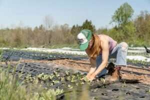 Farm Worker Needed In Canada By Can Viet Blo Farm Ltd