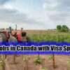 Various Job Position Available For Poultry Farm Workers in Canada – Free Visa Sponsorship