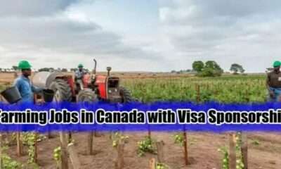 Various Job Position Available For Poultry Farm Workers in Canada – Free Visa Sponsorship