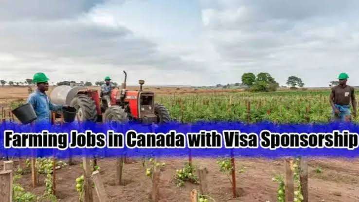 Various Job Position Available For Poultry Farm Workers in Canada – Free Visa Sponsorship
