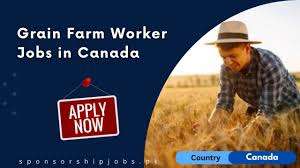 Grain Farm Workers Needed in Canada With Visa Sponsorship – High Paying Hour Job