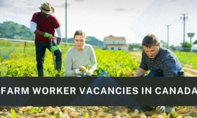 Exploring Job Opportunities in Canada: Farm Worker at J.K. Kang Farm