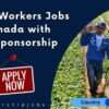 Job Opportunity in Canada With Visa Sponsorship: Harvest Worker at Kinetic Farms Inc.