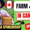 Farm Harvest Workers Need In Canada By Meditative Greens – Visa Sponsorship