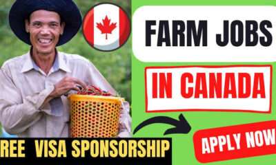 Farm Harvest Workers Need In Canada By Meditative Greens – Visa Sponsorship