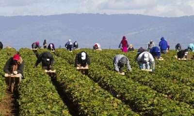 General Farm Worker Needed In Canada By Breukelman’s Mountainview Farm