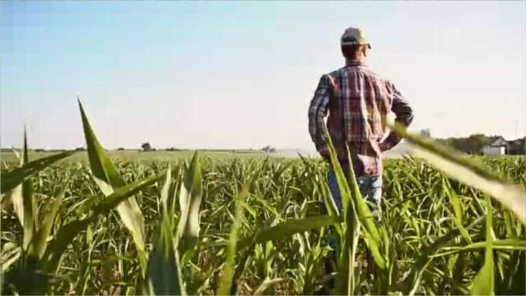 How to Apply for a Canada Farm Job: Step-by-Step Guide for Foreign Workers