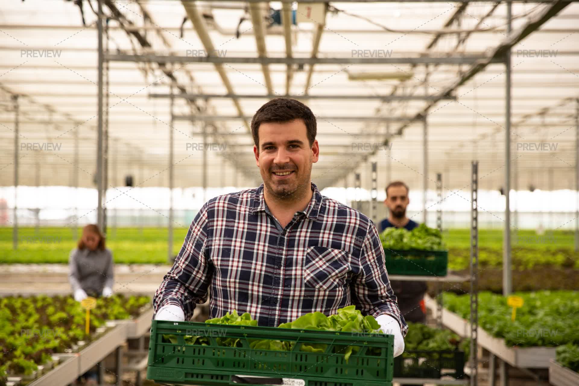 Greenhouse Worker