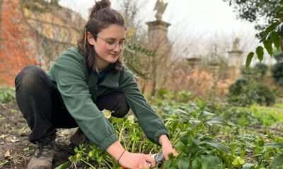 Landscape Horticulturist