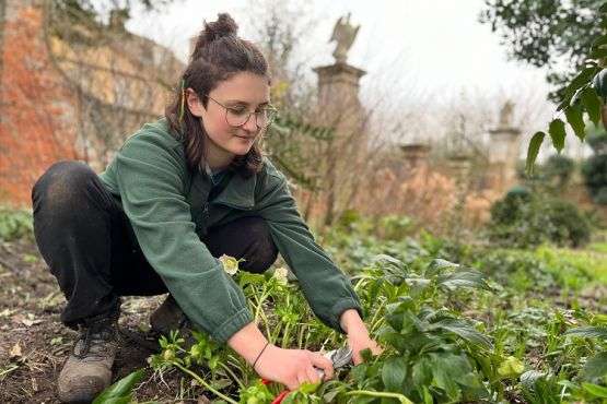 Landscape Horticulturist