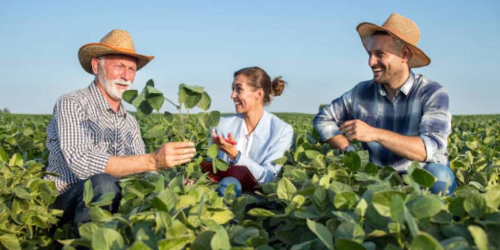 Job Opportunity: Market Garden Worker In Canada – Apply Now