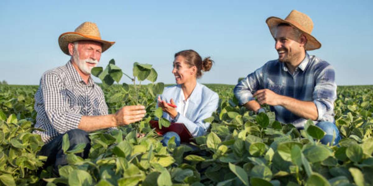 Job Opportunity: Market Garden Worker In Canada – Apply Now