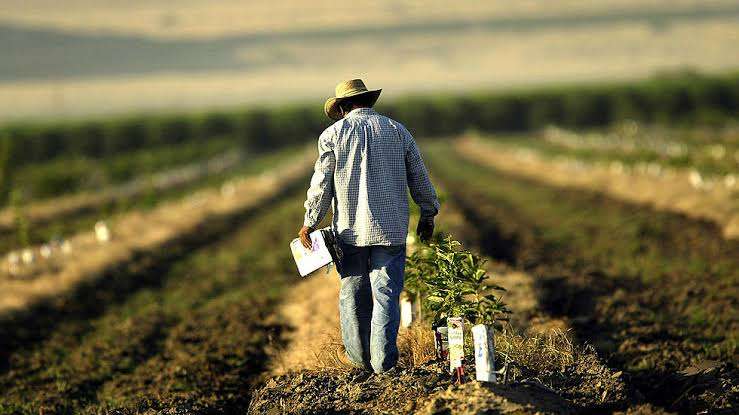 High Paying Farm Worker Supervisor Wanted – Full-Time Position at Hillside Farms in Lyn, ON