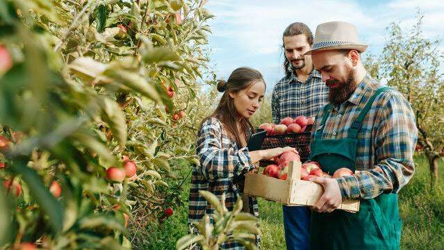 Fruit Farming Labourer Needed In Canada By Pingle’s Farm Market 