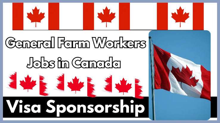 Livestock Farm Labourer Needed In Canada By Dahua Agriculture 