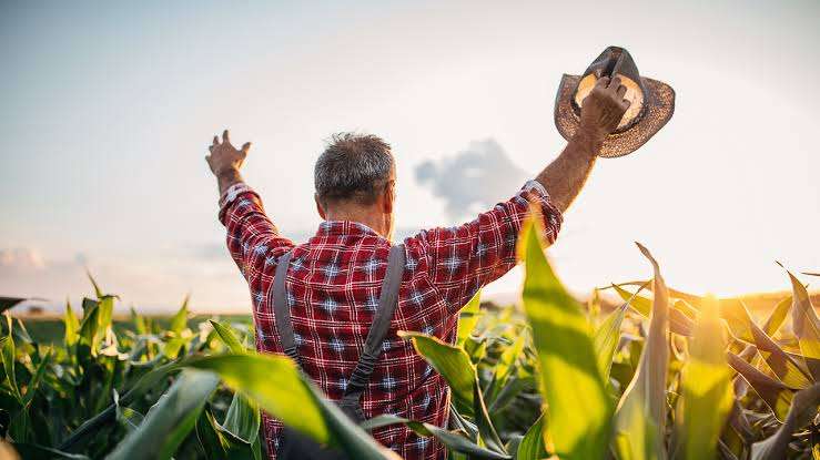 High-Paying Livestock Farm Jobs in Canada – Earn Up to $22/Hour