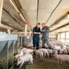 Pork Production Technician
