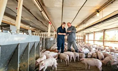 Pork Production Technician