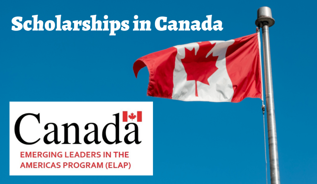 The Emerging Leaders in the Americas Program