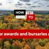 Brock Scholars Awards